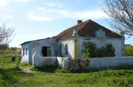 Старые дома в Новогригорьевке