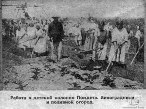 Фото 1925 года. Журнал &quot;Бурав&quot;. Виноградники и поливной огород.
